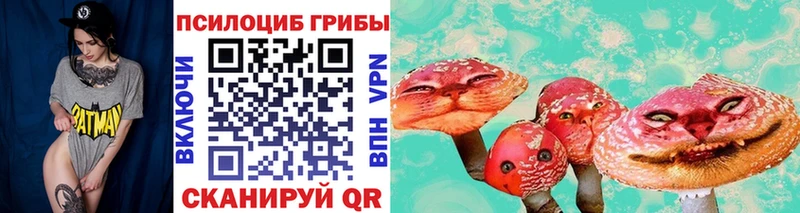 Купить  Нерюнгри  Галлюциногенные грибы MAGIC MUSHROOMS 